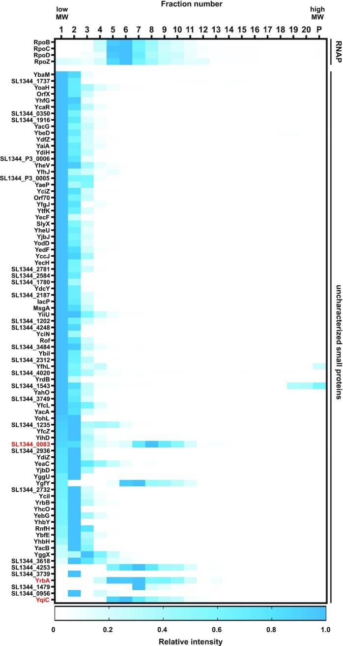 https://cdn.ncbi.nlm.nih.gov/pmc/blobs/575f/10117436/7fc2a82d7fd7/uqaa002fig5.jpg