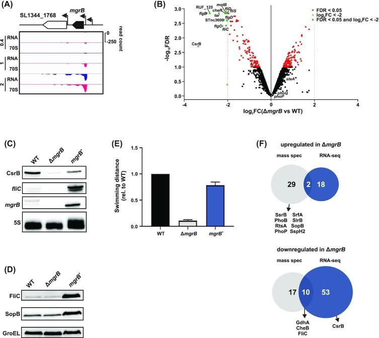 https://cdn.ncbi.nlm.nih.gov/pmc/blobs/575f/10117436/9ade2f6322d1/uqaa002fig7.jpg