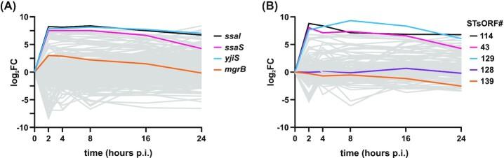 https://cdn.ncbi.nlm.nih.gov/pmc/blobs/575f/10117436/afa81cc8d77c/uqaa002fig3.jpg