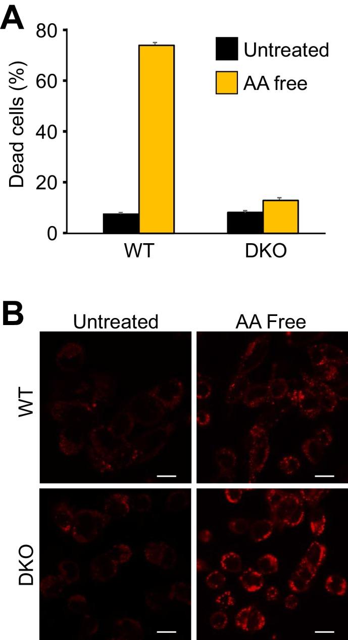 https://cdn.ncbi.nlm.nih.gov/pmc/blobs/5761/5697932/a0b3fa6d9e85/elife-30543-fig1-figsupp1.jpg