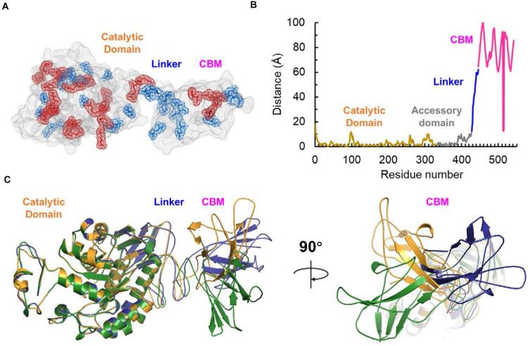 https://cdn.ncbi.nlm.nih.gov/pmc/blobs/5761/8317173/580a0a08231d/fmicb-12-708480-g005.jpg