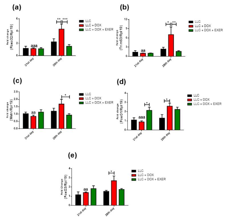 https://cdn.ncbi.nlm.nih.gov/pmc/blobs/5762/7699885/5d9b2328260b/cancers-12-03466-g003.jpg
