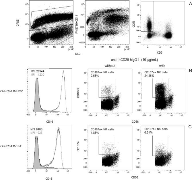 https://cdn.ncbi.nlm.nih.gov/pmc/blobs/5764/8041758/ebf92a392c63/41598_2021_86943_Fig1_HTML.jpg