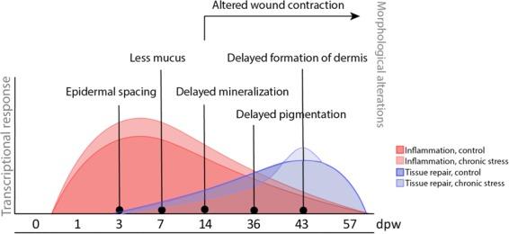 https://cdn.ncbi.nlm.nih.gov/pmc/blobs/5765/6237775/1e0f66d84972/41598_2018_35002_Fig11_HTML.jpg