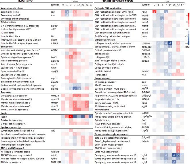 https://cdn.ncbi.nlm.nih.gov/pmc/blobs/5765/6237775/23a42b95ad2c/41598_2018_35002_Fig5_HTML.jpg
