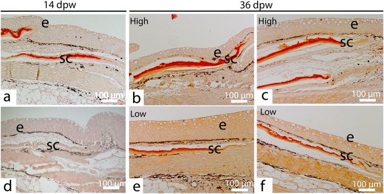 https://cdn.ncbi.nlm.nih.gov/pmc/blobs/5765/6237775/ce905952c8cf/41598_2018_35002_Fig9_HTML.jpg