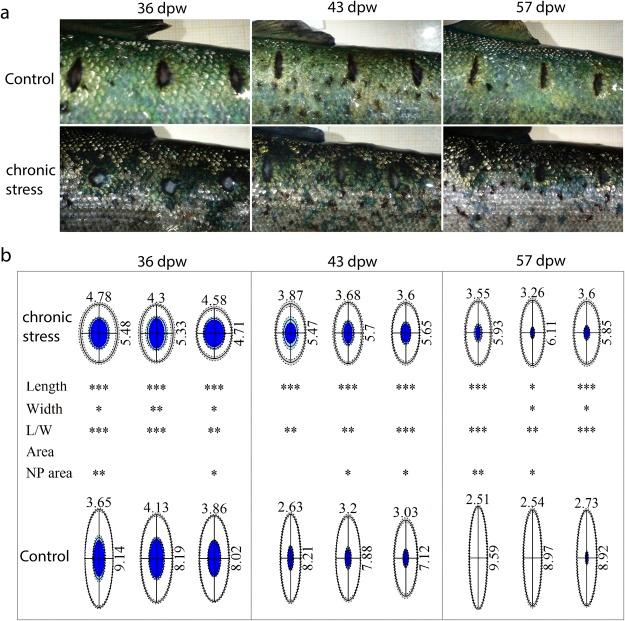 https://cdn.ncbi.nlm.nih.gov/pmc/blobs/5765/6237775/ee6a7d6663c6/41598_2018_35002_Fig3_HTML.jpg