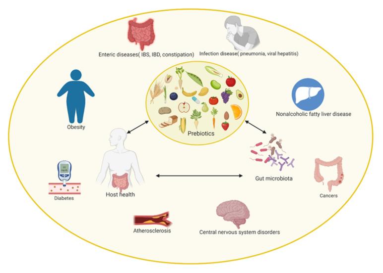 https://cdn.ncbi.nlm.nih.gov/pmc/blobs/5766/8747136/5f1bcbcf23de/nutrients-14-00137-g002.jpg