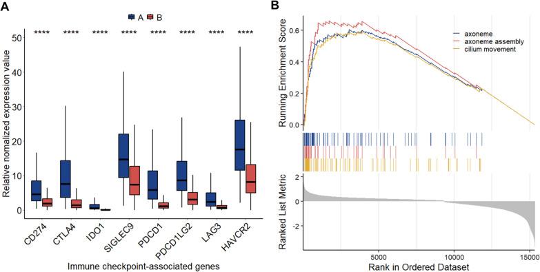https://cdn.ncbi.nlm.nih.gov/pmc/blobs/5768/10823720/c86ea3871cf7/13058_2024_1776_Fig5_HTML.jpg