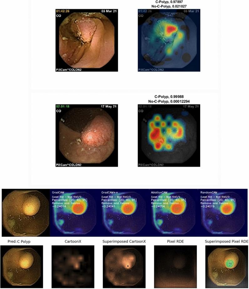 https://cdn.ncbi.nlm.nih.gov/pmc/blobs/5768/11836113/66f35cf4ee07/41598_2025_89648_Fig4_HTML.jpg