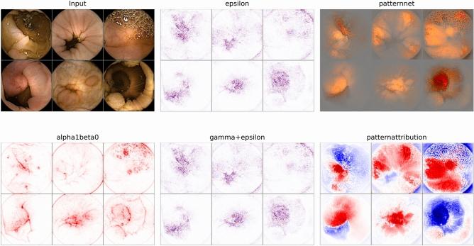 https://cdn.ncbi.nlm.nih.gov/pmc/blobs/5768/11836113/947748f3b0e2/41598_2025_89648_Fig6_HTML.jpg