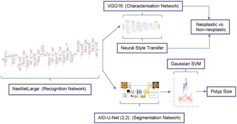 https://cdn.ncbi.nlm.nih.gov/pmc/blobs/5768/11836113/b7b72adbf969/41598_2025_89648_Fig2_HTML.jpg