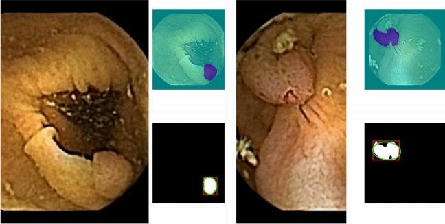 https://cdn.ncbi.nlm.nih.gov/pmc/blobs/5768/11836113/bff6d17f76a2/41598_2025_89648_Fig5_HTML.jpg