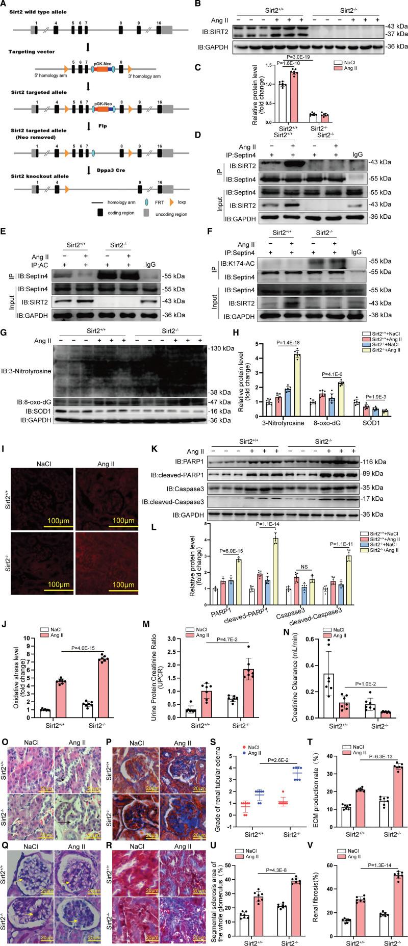 https://cdn.ncbi.nlm.nih.gov/pmc/blobs/5768/9977266/20aea48effee/res-132-601-g003.jpg