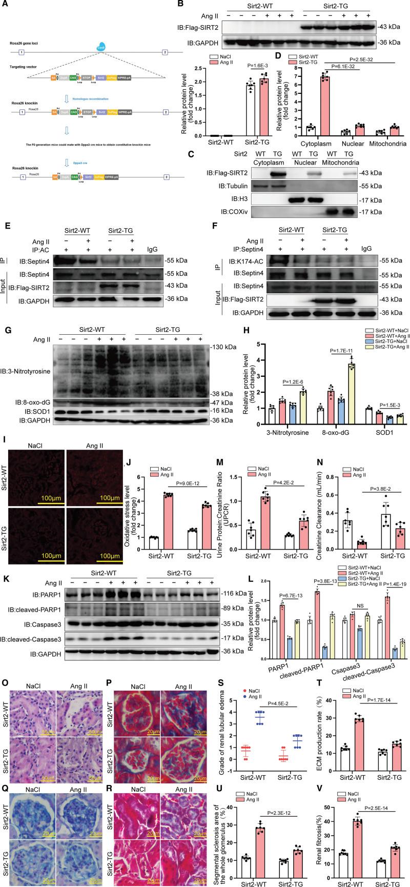 https://cdn.ncbi.nlm.nih.gov/pmc/blobs/5768/9977266/3f2cc779babe/res-132-601-g004.jpg