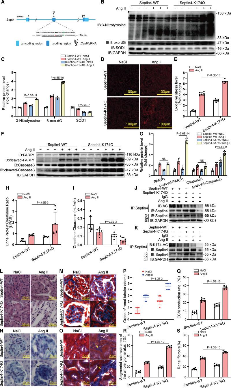https://cdn.ncbi.nlm.nih.gov/pmc/blobs/5768/9977266/40a3fab30a46/res-132-601-g006.jpg