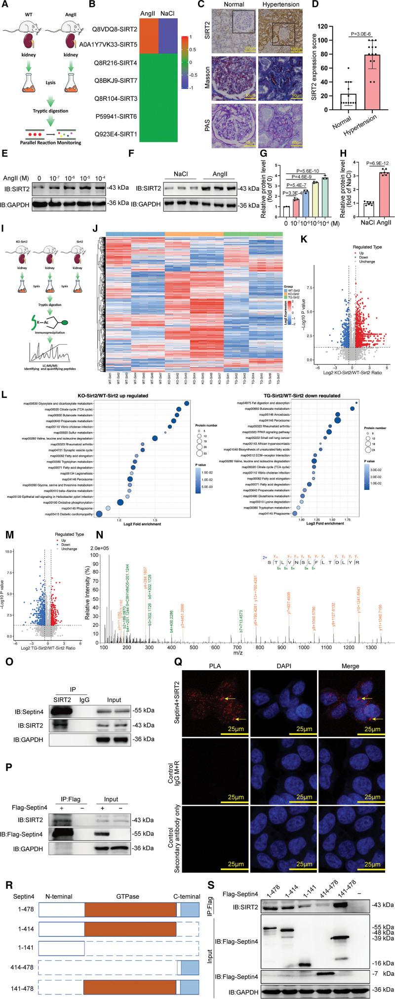 https://cdn.ncbi.nlm.nih.gov/pmc/blobs/5768/9977266/5b46f6ef0281/res-132-601-g001.jpg