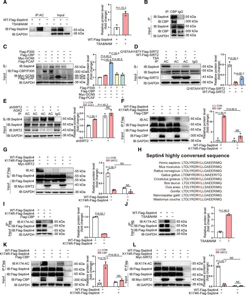 https://cdn.ncbi.nlm.nih.gov/pmc/blobs/5768/9977266/8658c5a2e579/res-132-601-g002.jpg