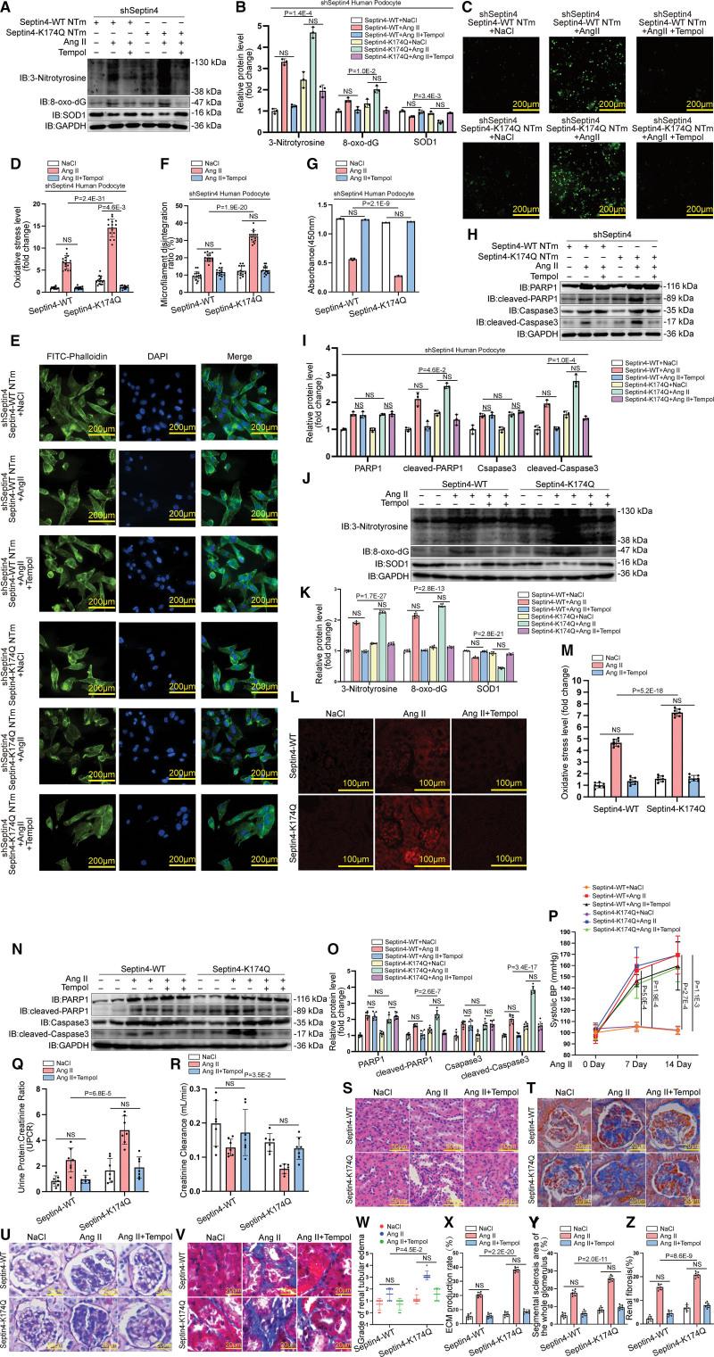 https://cdn.ncbi.nlm.nih.gov/pmc/blobs/5768/9977266/dd77950702af/res-132-601-g007.jpg