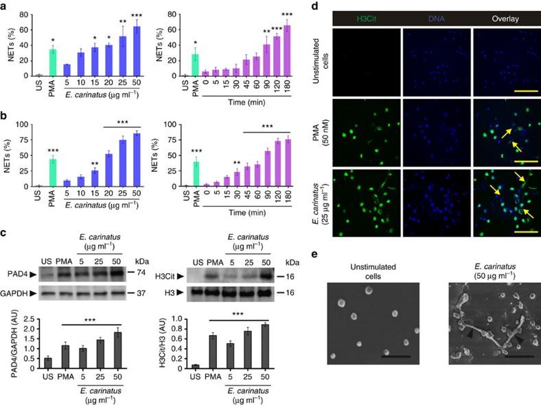 https://cdn.ncbi.nlm.nih.gov/pmc/blobs/5769/4838891/ca3b80ad200a/ncomms11361-f1.jpg