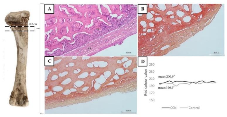 https://cdn.ncbi.nlm.nih.gov/pmc/blobs/576a/8064363/736af1a924dc/animals-11-00932-g007.jpg