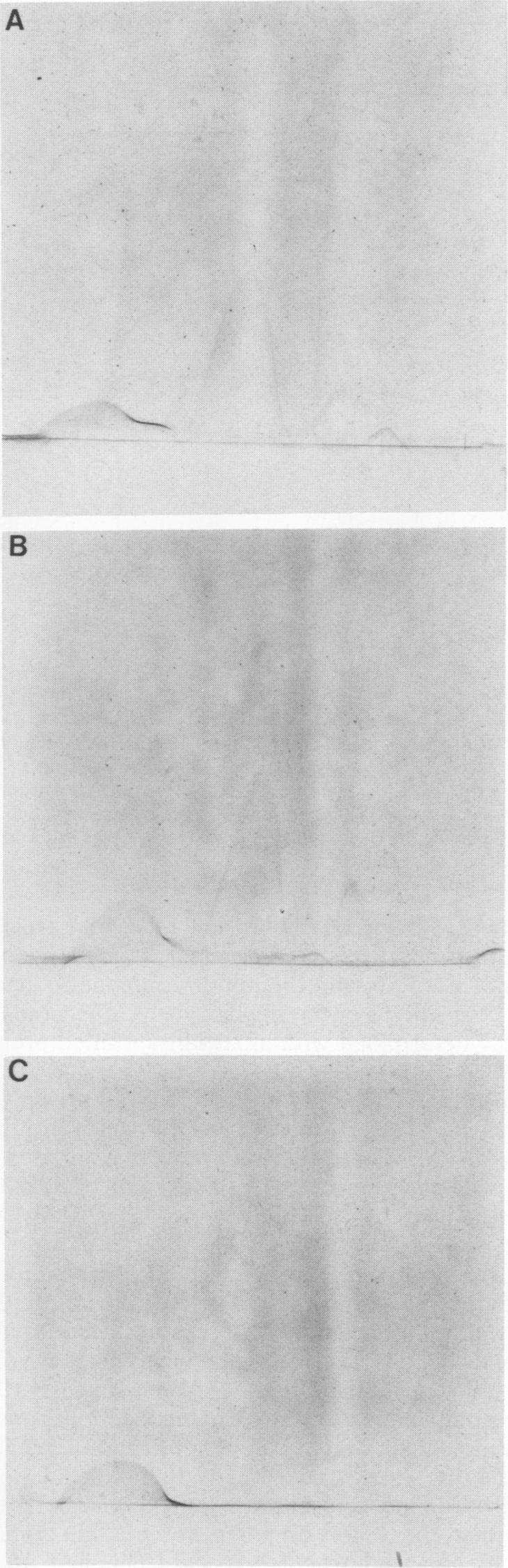 https://cdn.ncbi.nlm.nih.gov/pmc/blobs/576e/262052/e4fe984146ee/iai00112-0035-b.jpg