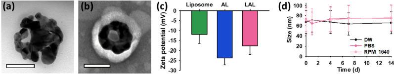 https://cdn.ncbi.nlm.nih.gov/pmc/blobs/576f/8418714/6f5837b1d48b/12951_2021_1010_Fig1_HTML.jpg