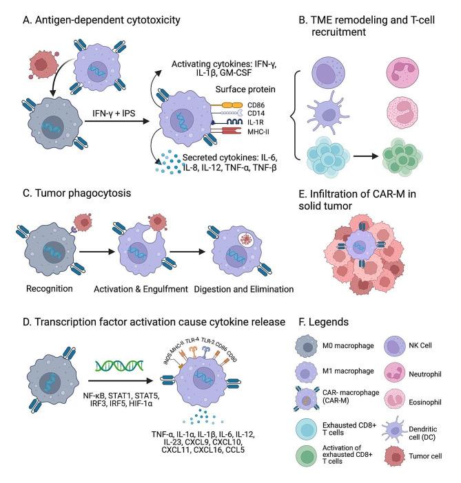 https://cdn.ncbi.nlm.nih.gov/pmc/blobs/5770/11302330/997a2b226e6d/40164_2024_549_Fig3_HTML.jpg