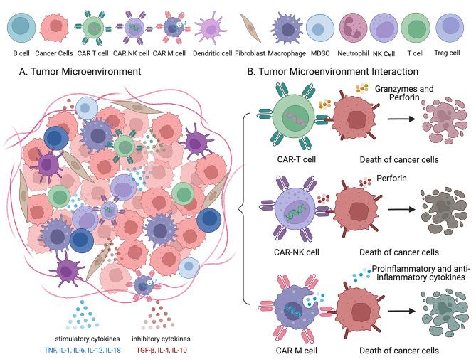 https://cdn.ncbi.nlm.nih.gov/pmc/blobs/5770/11302330/9d6b9158ddb3/40164_2024_549_Fig2_HTML.jpg