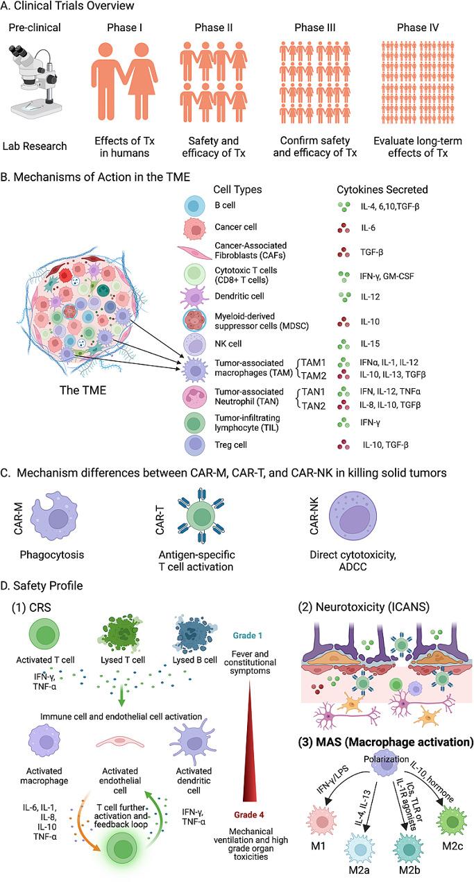 https://cdn.ncbi.nlm.nih.gov/pmc/blobs/5770/11302330/aa903944a47c/40164_2024_549_Fig1_HTML.jpg