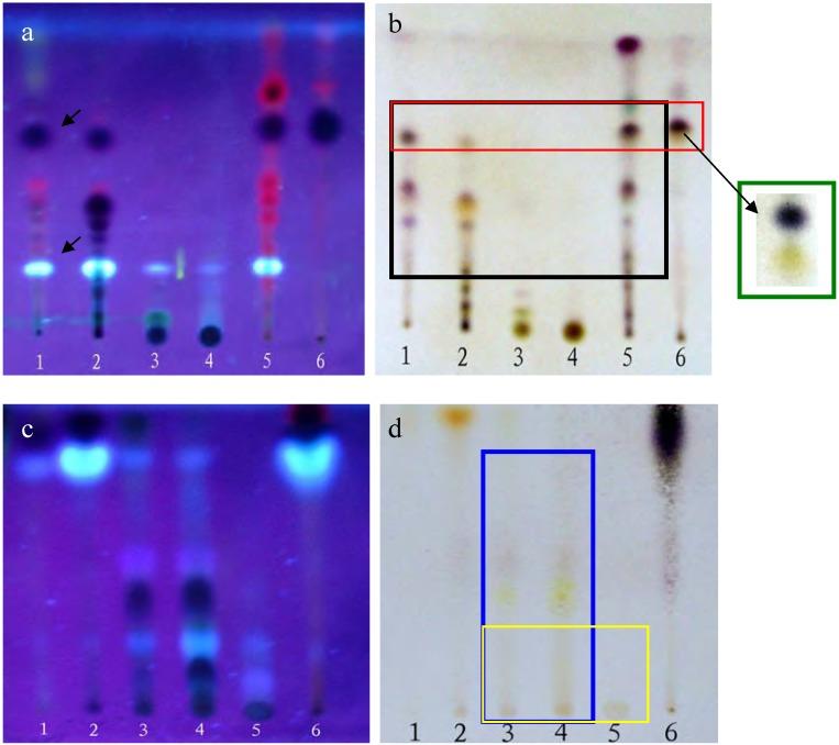 https://cdn.ncbi.nlm.nih.gov/pmc/blobs/5770/6245340/8da1c91cd53e/molecules-13-00220-g001.jpg