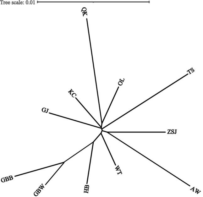 https://cdn.ncbi.nlm.nih.gov/pmc/blobs/5771/11440930/034cede7db8d/12864_2024_10800_Fig5_HTML.jpg