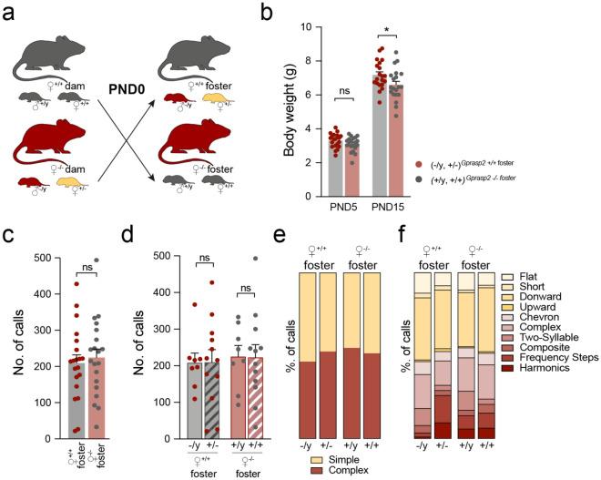 https://cdn.ncbi.nlm.nih.gov/pmc/blobs/5773/11139669/106b08b7b811/41598_2024_62088_Fig5_HTML.jpg