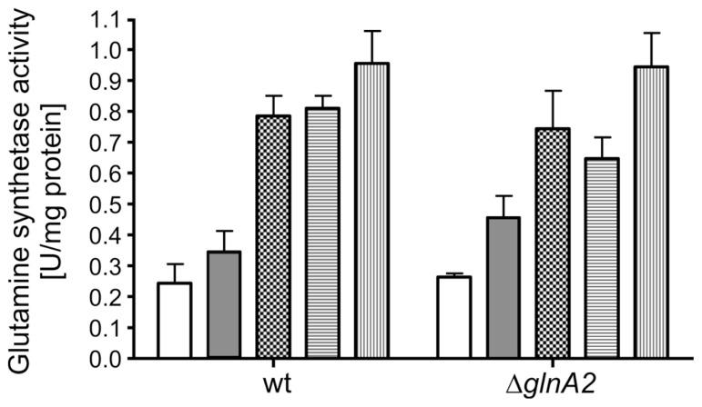 https://cdn.ncbi.nlm.nih.gov/pmc/blobs/5775/3995056/809c5d695324/fmicb-05-00168-g006.jpg