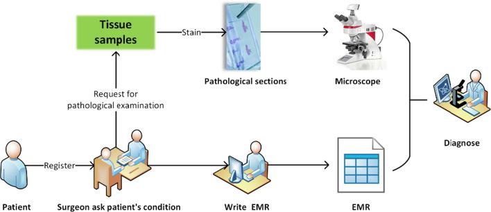 https://cdn.ncbi.nlm.nih.gov/pmc/blobs/5775/8061018/1988dbcd1531/12911_2020_1340_Fig1_HTML.jpg