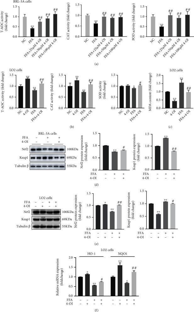 https://cdn.ncbi.nlm.nih.gov/pmc/blobs/5776/8881125/15ab8a257a8a/OMCL2022-5180242.005.jpg