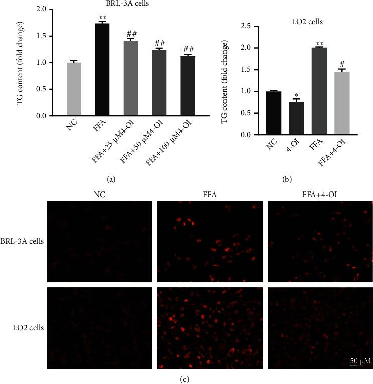 https://cdn.ncbi.nlm.nih.gov/pmc/blobs/5776/8881125/a85058209da1/OMCL2022-5180242.002.jpg