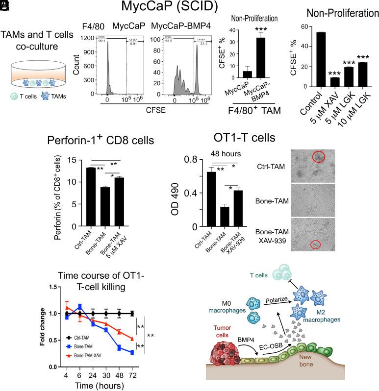 https://cdn.ncbi.nlm.nih.gov/pmc/blobs/5778/11331113/525937d9a0ef/pnas.2402903121fig08.jpg