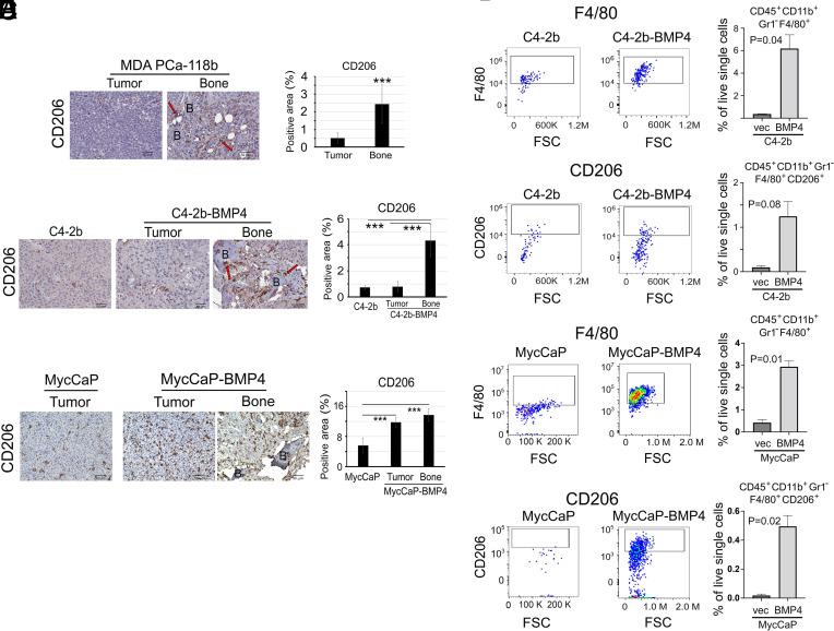 https://cdn.ncbi.nlm.nih.gov/pmc/blobs/5778/11331113/87364abc6a66/pnas.2402903121fig02.jpg
