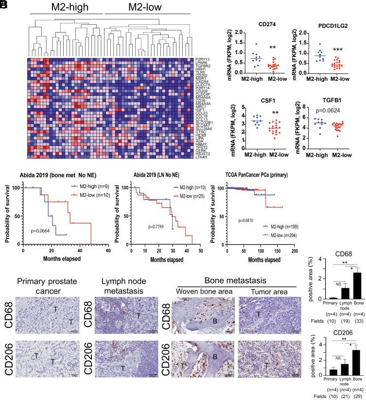 https://cdn.ncbi.nlm.nih.gov/pmc/blobs/5778/11331113/9a343366c638/pnas.2402903121fig01.jpg