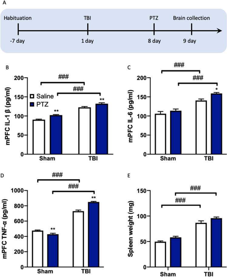 https://cdn.ncbi.nlm.nih.gov/pmc/blobs/5779/10063625/71eb8029cce4/41598_2023_32351_Fig5_HTML.jpg