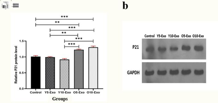 https://cdn.ncbi.nlm.nih.gov/pmc/blobs/577a/11526583/0c31debb6c63/jh-13-192-g003.jpg