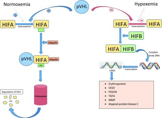 https://cdn.ncbi.nlm.nih.gov/pmc/blobs/577c/5850086/41757f911692/f1000research-7-14298-g0000.jpg