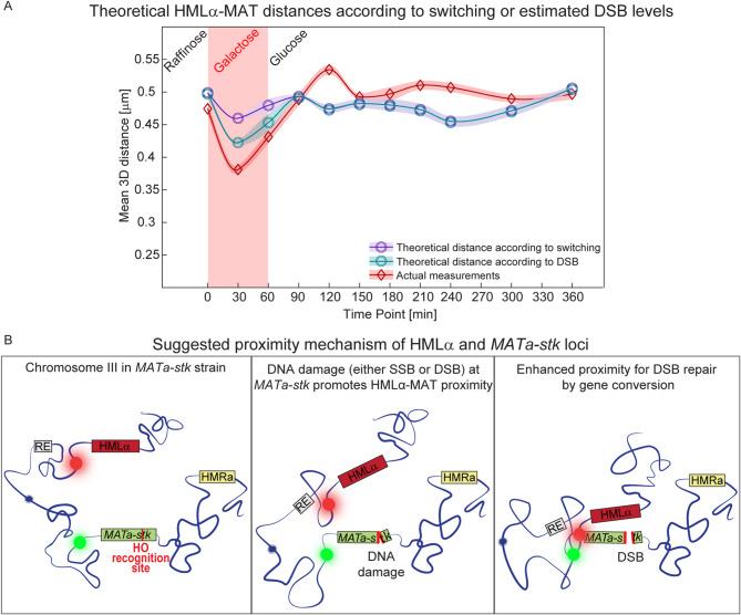 https://cdn.ncbi.nlm.nih.gov/pmc/blobs/5780/12405464/c6edbe2bd837/41598_2025_17538_Fig4_HTML.jpg