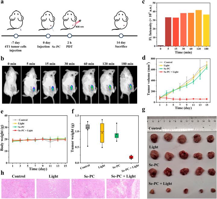 https://cdn.ncbi.nlm.nih.gov/pmc/blobs/5781/12284951/135d9469ed38/d5sc02476e-f5.jpg