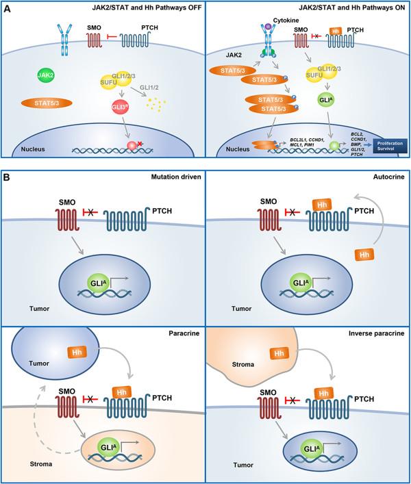 https://cdn.ncbi.nlm.nih.gov/pmc/blobs/5781/3975838/12a259db20d9/1756-8722-7-18-1.jpg