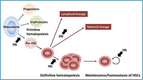 https://cdn.ncbi.nlm.nih.gov/pmc/blobs/5781/3975838/2f4dfbe1738f/1756-8722-7-18-2.jpg