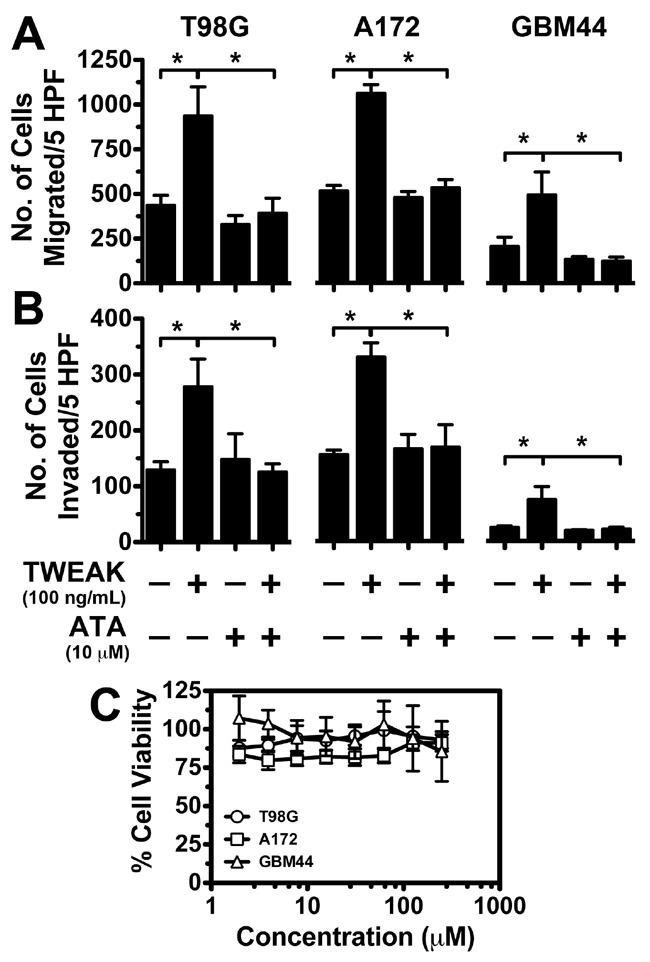 https://cdn.ncbi.nlm.nih.gov/pmc/blobs/5782/5355340/1765537da011/oncotarget-08-12234-g004.jpg