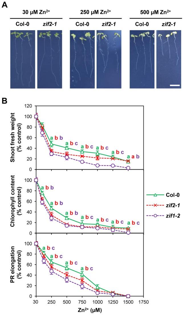 https://cdn.ncbi.nlm.nih.gov/pmc/blobs/5783/4022490/052a559e77cc/pgen.1004375.g006.jpg