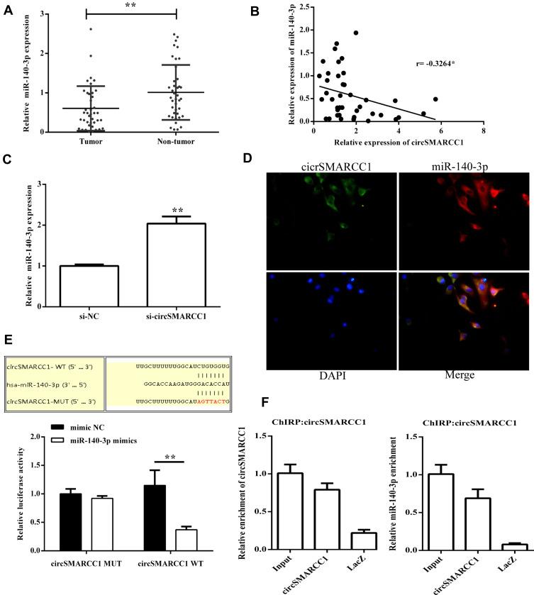 https://cdn.ncbi.nlm.nih.gov/pmc/blobs/5784/7320753/2244ece7b616/CMAR-12-4899-g0003.jpg